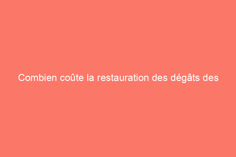 Combien coûte la restauration des dégâts des eaux ?