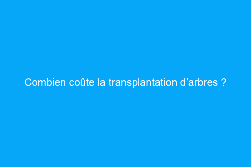 Combien coûte la transplantation d’arbres ?