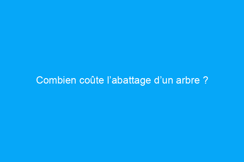 Combien coûte l’abattage d’un arbre ?