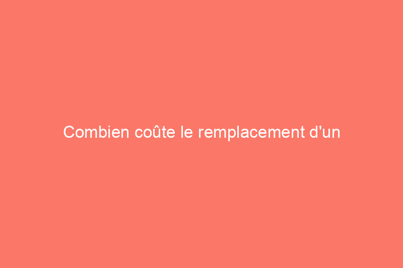 Combien coûte le remplacement d'un chauffe-eau ? (Guide 2024)