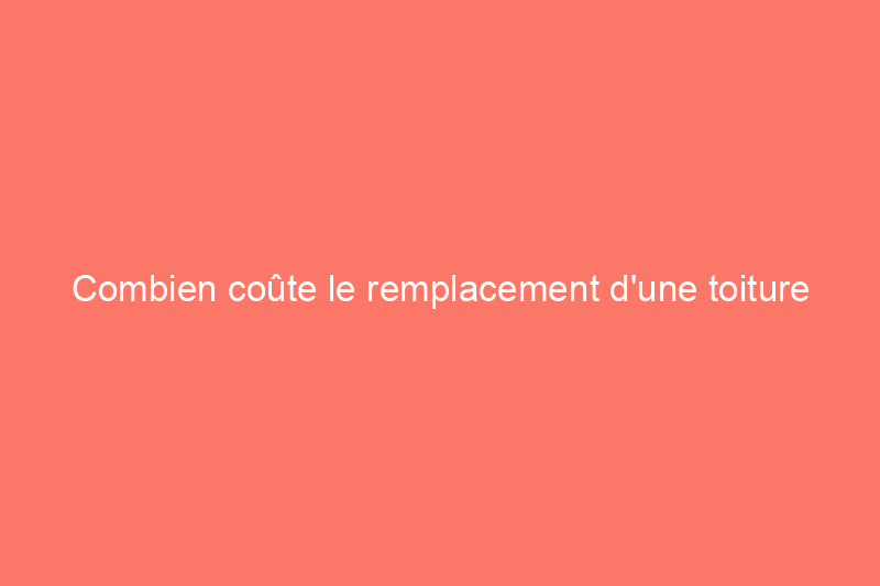 Combien coûte le remplacement d'une toiture en 2024 ?