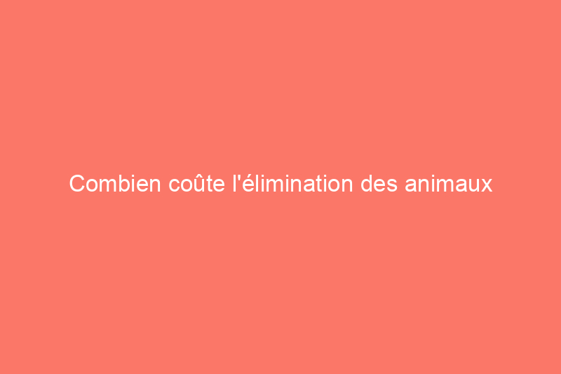 Combien coûte l'élimination des animaux dans le grenier ?