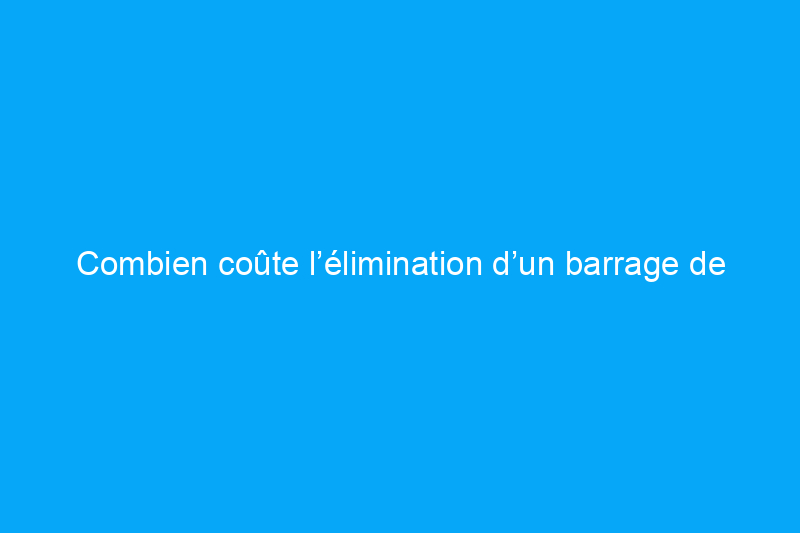 Combien coûte l’élimination d’un barrage de glace ?