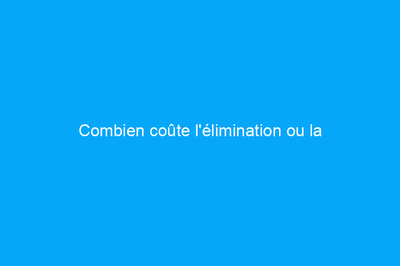 Combien coûte l'élimination ou la décontamination des moisissures ? (Données 2024)