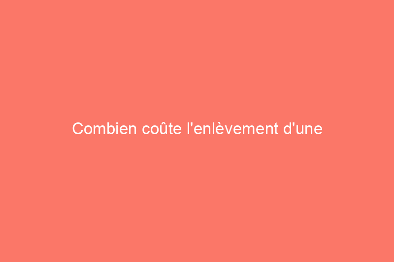 Combien coûte l'enlèvement d'une cheminée ?