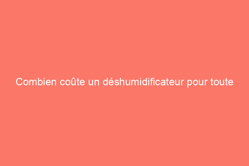 Combien coûte un déshumidificateur pour toute la maison ?