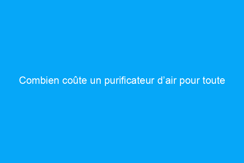 Combien coûte un purificateur d’air pour toute la maison ?