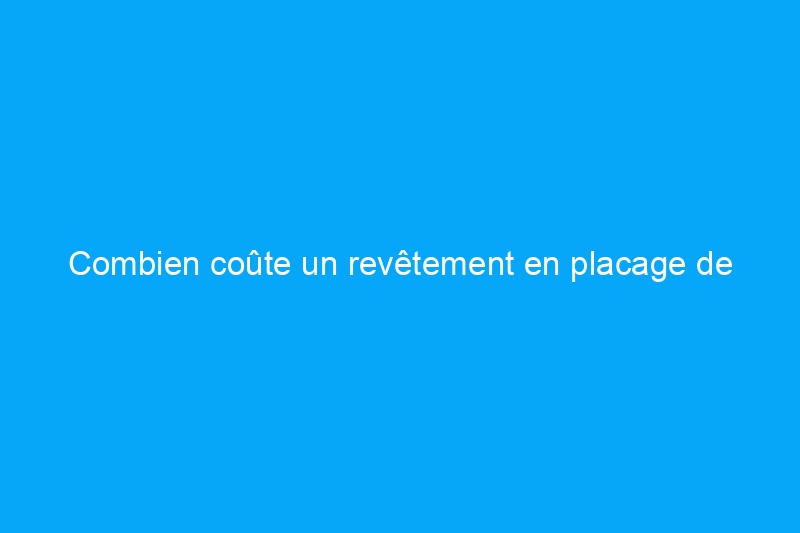 Combien coûte un revêtement en placage de pierre ?