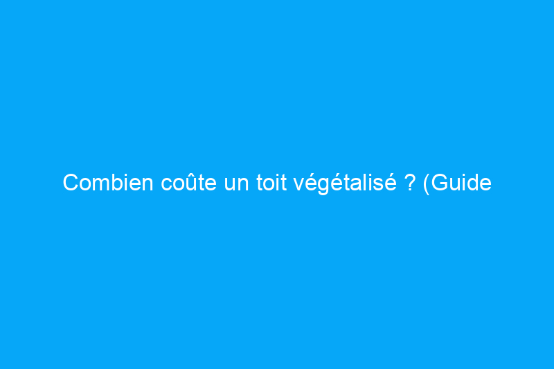 Combien coûte un toit végétalisé ? (Guide 2024)