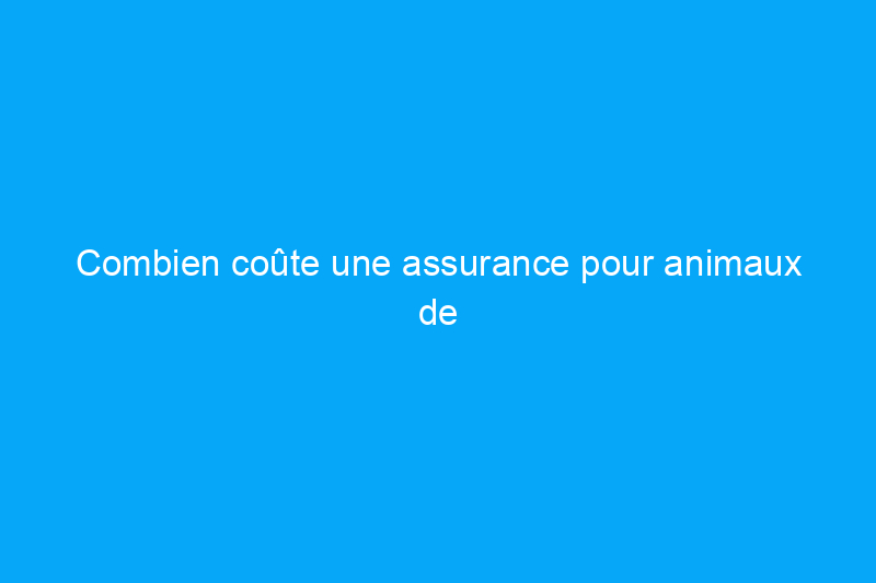 Combien coûte une assurance pour animaux de compagnie ?