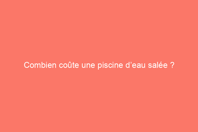 Combien coûte une piscine d’eau salée ?