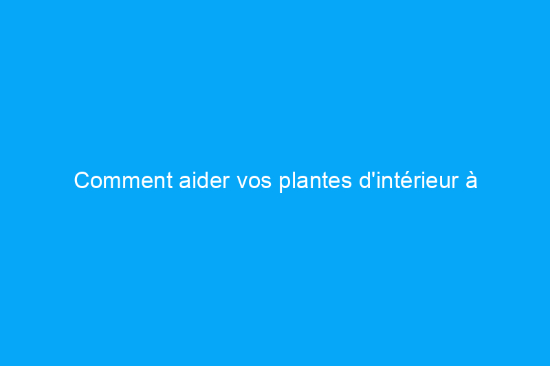 Comment aider vos plantes d'intérieur à survivre à l'hiver