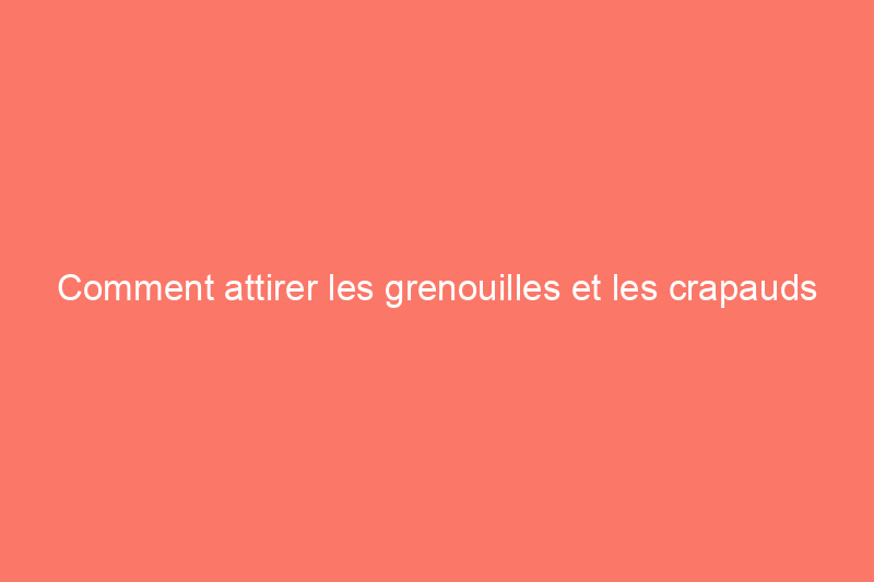 Comment attirer les grenouilles et les crapauds dans votre jardin et pourquoi vous devriez le faire