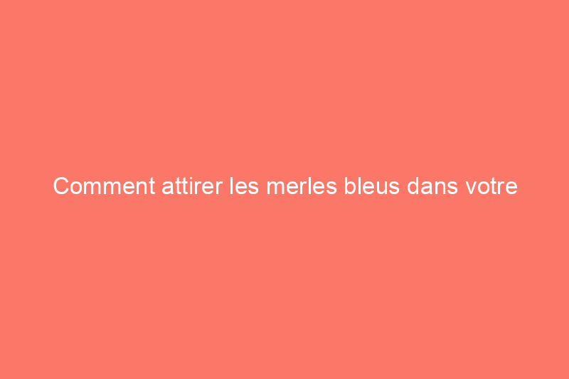 Comment attirer les merles bleus dans votre jardin : 12 conseils efficaces