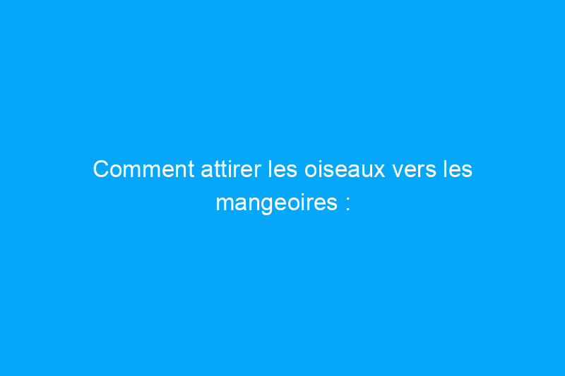 Comment attirer les oiseaux vers les mangeoires : 13 stratégies simples qui fonctionnent