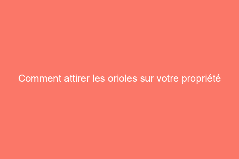 Comment attirer les orioles sur votre propriété : conseils avisés et sécuritaires d'un expert en oiseaux