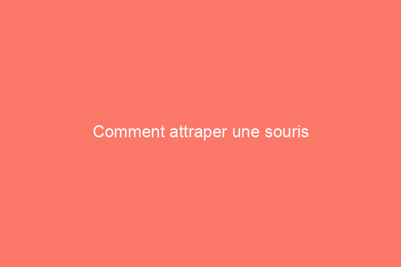 Comment attraper une souris