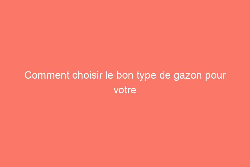 Comment choisir le bon type de gazon pour votre pelouse