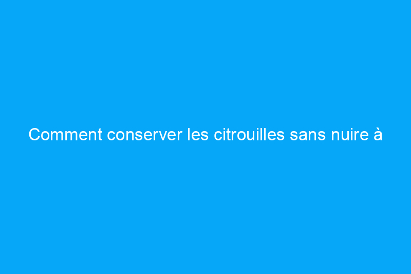 Comment conserver les citrouilles sans nuire à la faune