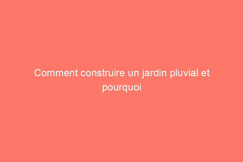 Comment construire un jardin pluvial et pourquoi vous devriez le faire