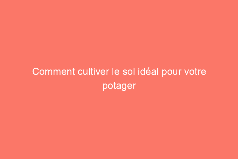 Comment cultiver le sol idéal pour votre potager