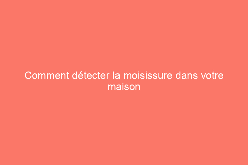 Comment détecter la moisissure dans votre maison en 6 étapes (même si vous ne la voyez pas)