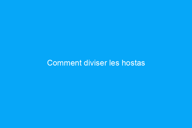 Comment diviser les hostas