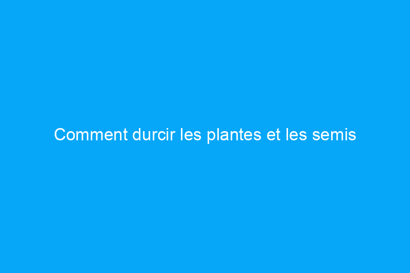 Comment durcir les plantes et les semis