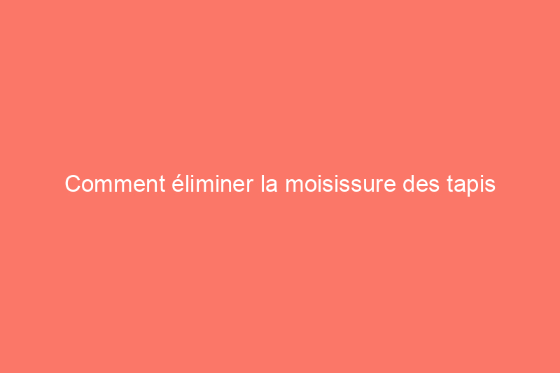 Comment éliminer la moisissure des tapis