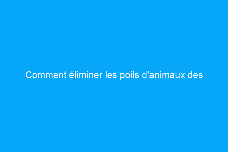 Comment éliminer les poils d'animaux des vêtements, des canapés, des tapis et plus encore