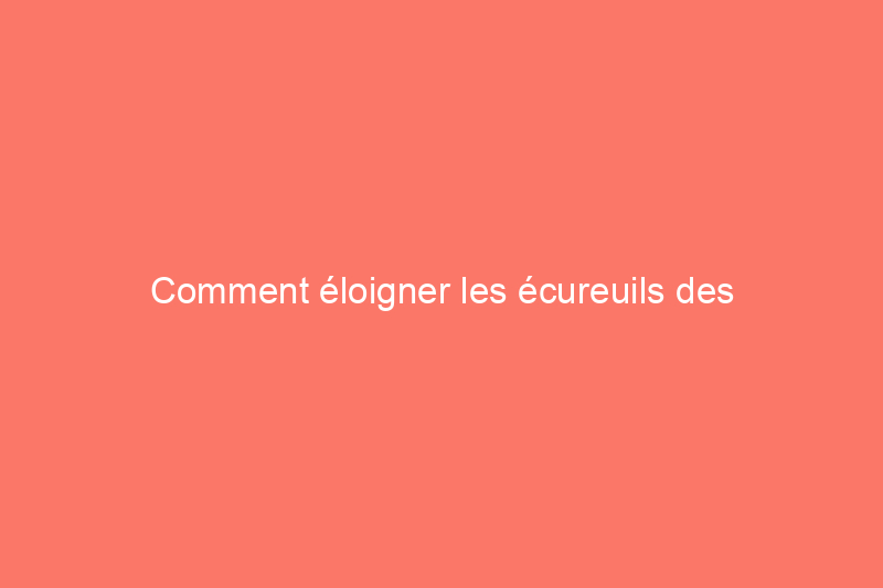 Comment éloigner les écureuils des plates-bandes et des plantes en pot