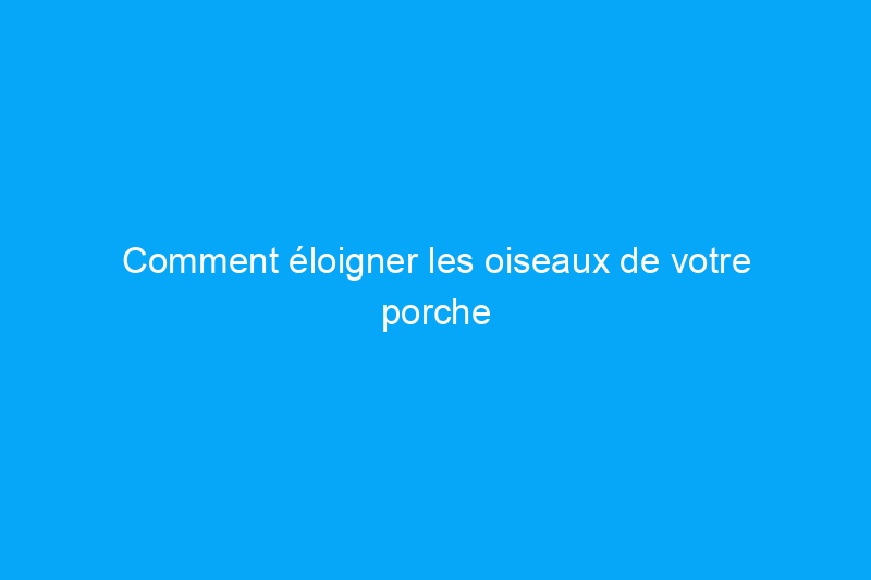 Comment éloigner les oiseaux de votre porche (sans leur faire de mal)