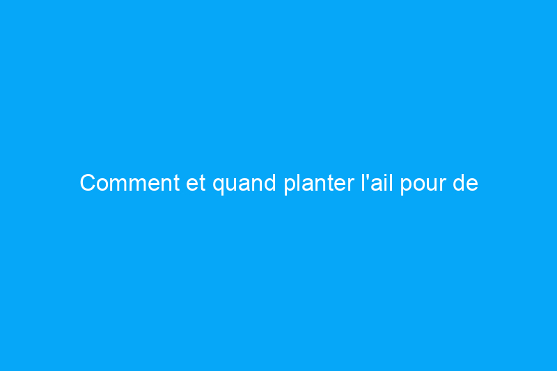 Comment et quand planter l'ail pour de meilleurs résultats