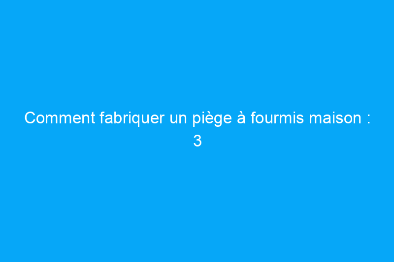 Comment fabriquer un piège à fourmis maison : 3 méthodes qui fonctionnent vraiment