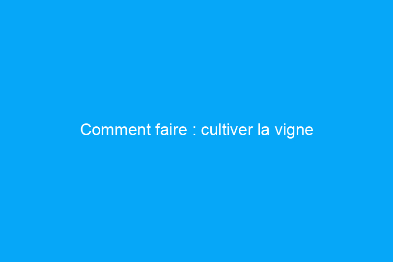 Comment faire : cultiver la vigne