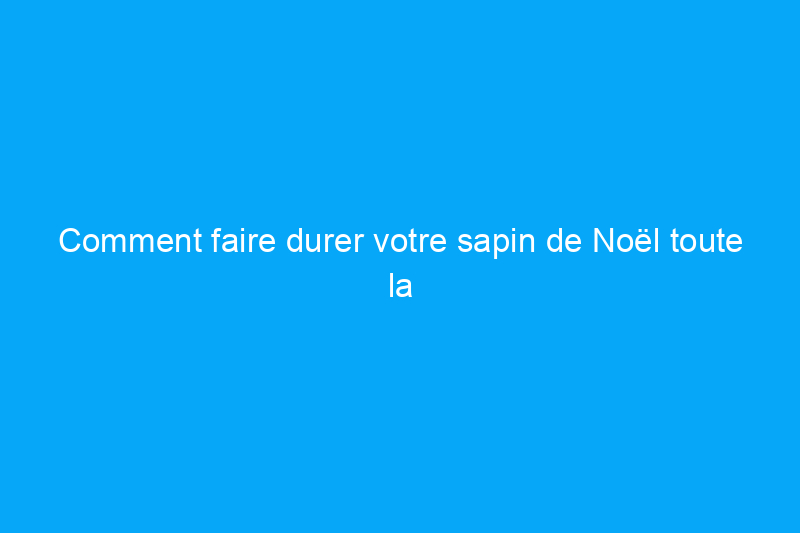 Comment faire durer votre sapin de Noël toute la saison