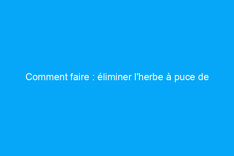 Comment faire : éliminer l'herbe à puce de votre jardin