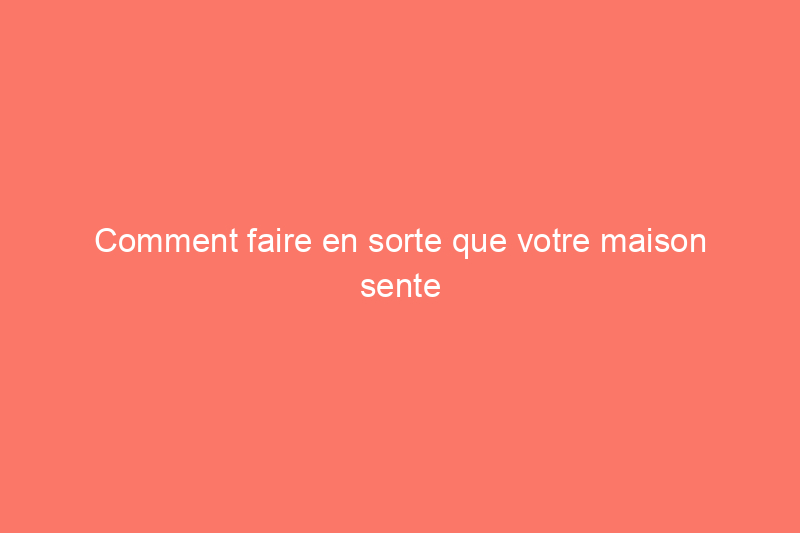 Comment faire en sorte que votre maison sente comme si vous n'aviez pas d'animaux de compagnie