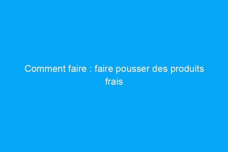 Comment faire : faire pousser des produits frais à partir de vos restes d'épicerie