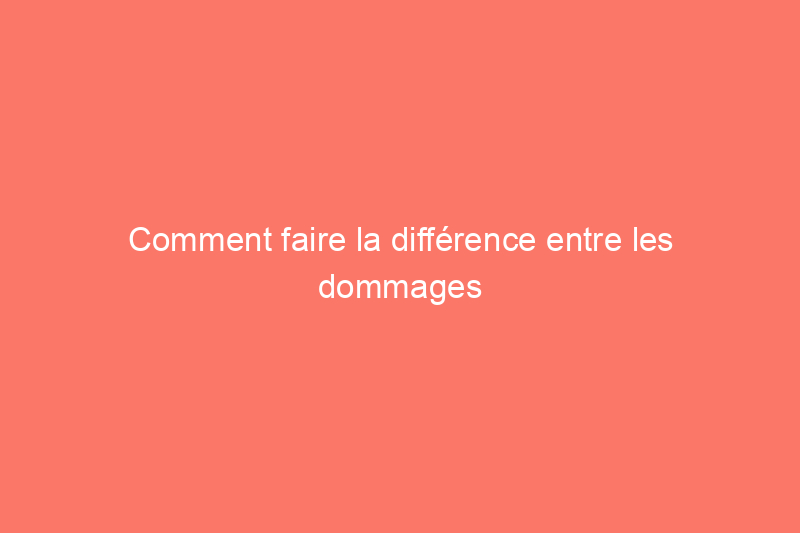 Comment faire la différence entre les dommages causés par les vers blancs et les dommages causés par les champignons sur une pelouse