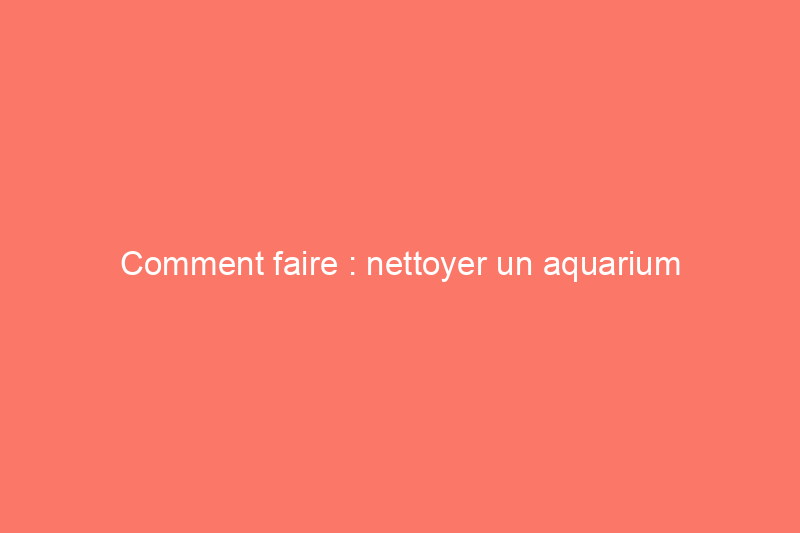 Comment faire : nettoyer un aquarium