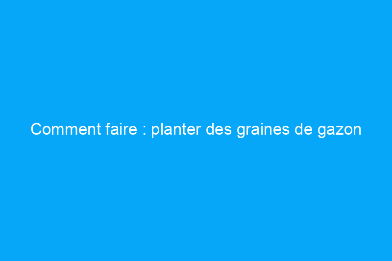 Comment faire : planter des graines de gazon