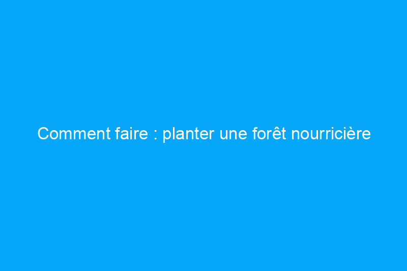 Comment faire : planter une forêt nourricière pour la cueillette à la maison