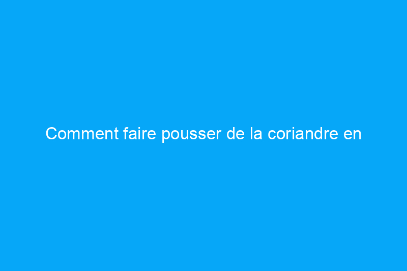 Comment faire pousser de la coriandre en intérieur pour des herbes fraîches toute l'année