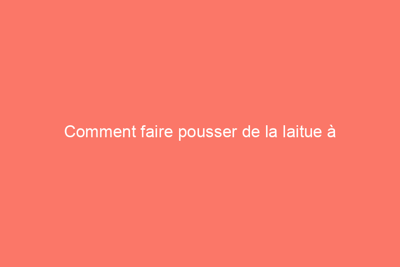 Comment faire pousser de la laitue à l'intérieur pour des salades fraîches toute l'année