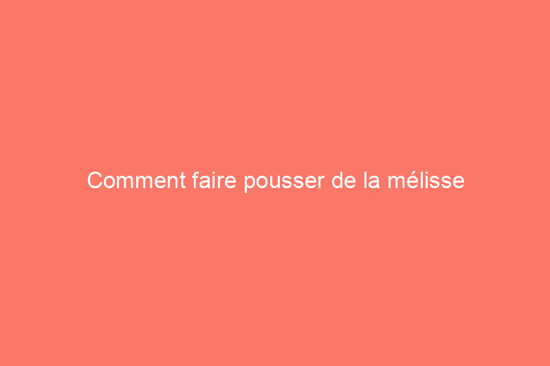 Comment faire pousser de la mélisse