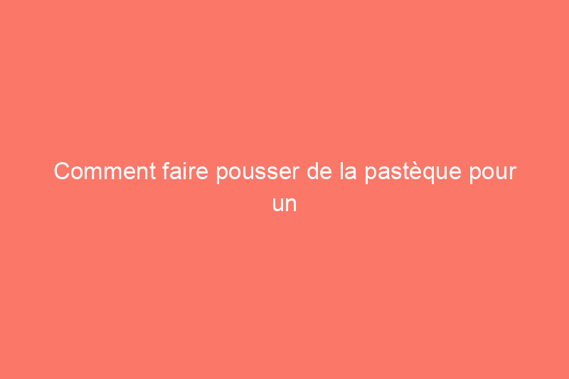 Comment faire pousser de la pastèque pour un régal d'été parfait