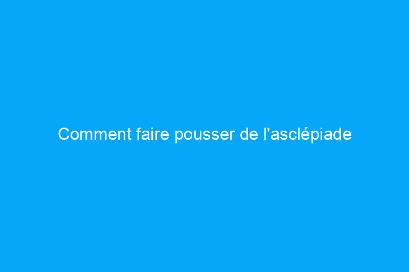 Comment faire pousser de l'asclépiade