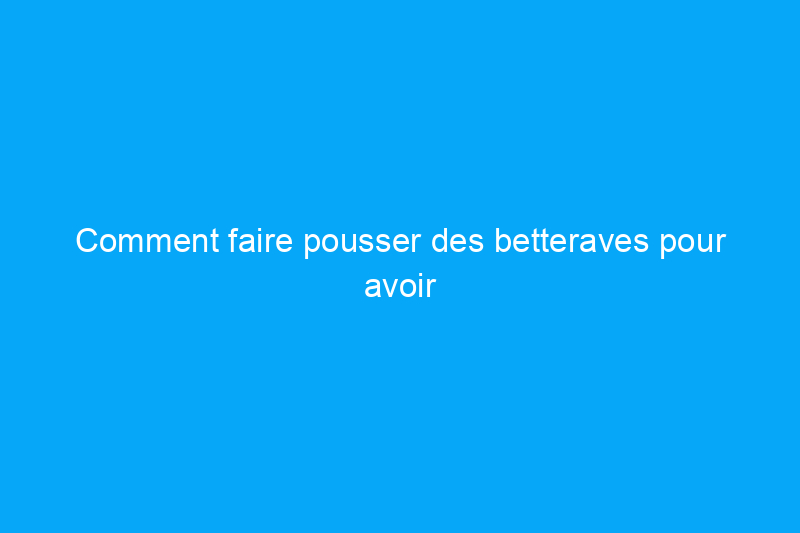 Comment faire pousser des betteraves pour avoir un approvisionnement en superaliments dans votre propre jardin