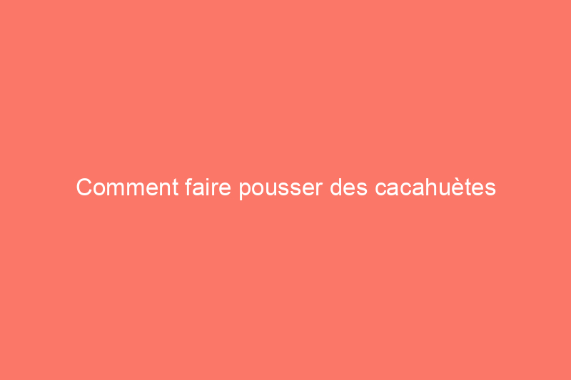 Comment faire pousser des cacahuètes